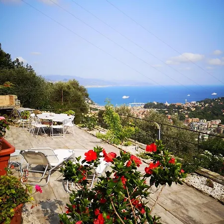 Rosa By Portofinohomes